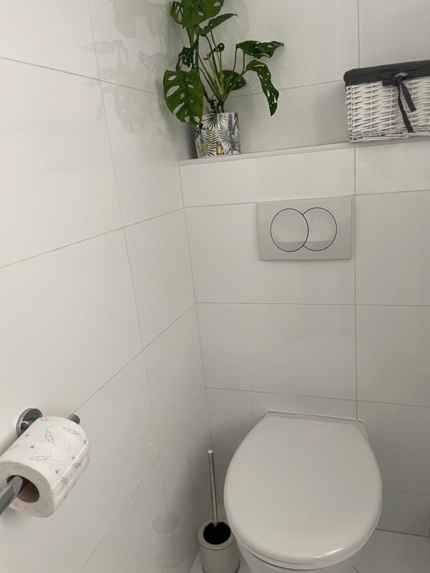 Apartments Bloom Near The Beach بوريتش المظهر الخارجي الصورة