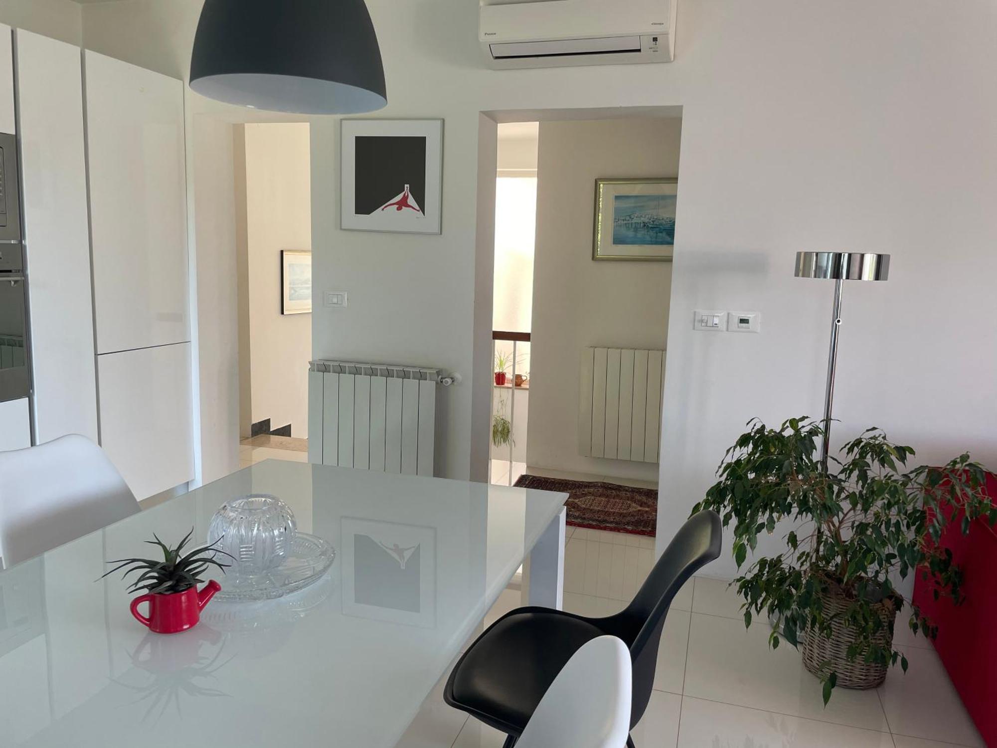 Apartments Bloom Near The Beach بوريتش المظهر الخارجي الصورة